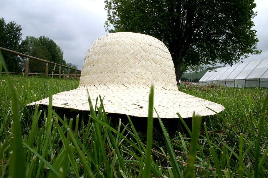 hat, straw, perspective, grass, green, yellow, plant, nature, field, day