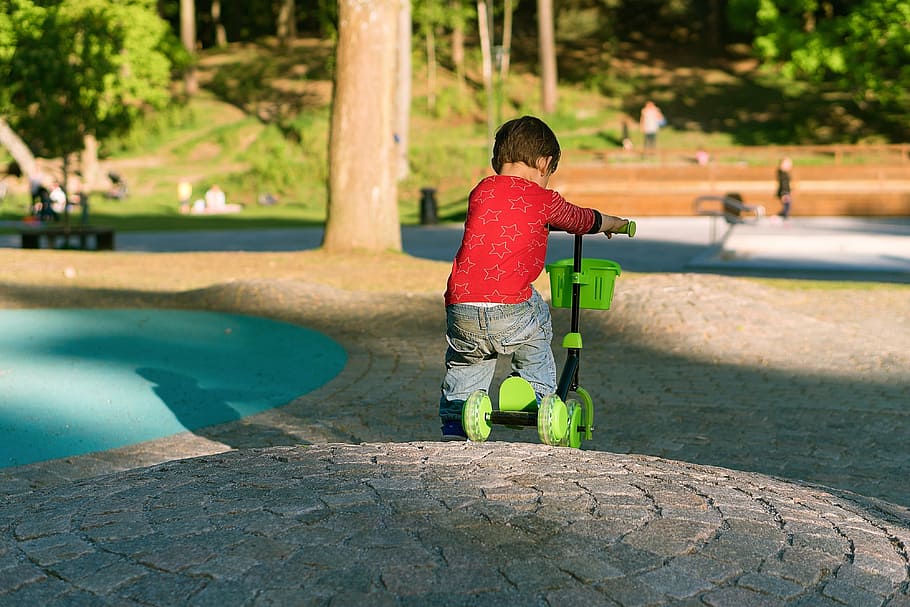 Niño, vistiendo, rojo, de manga larga, camisa, equitación, negro, verde, patinete, scooter