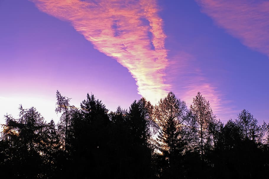 sunrise, color, blue, orange, sky, trees, field, mood, contrail, aircraft contrails