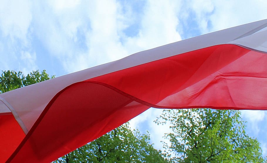 bendera polandia, simbol nasional, hari nasional, warna nasional, kebangsaan, putih-merah, patriotisme, tanah air, merah, langit