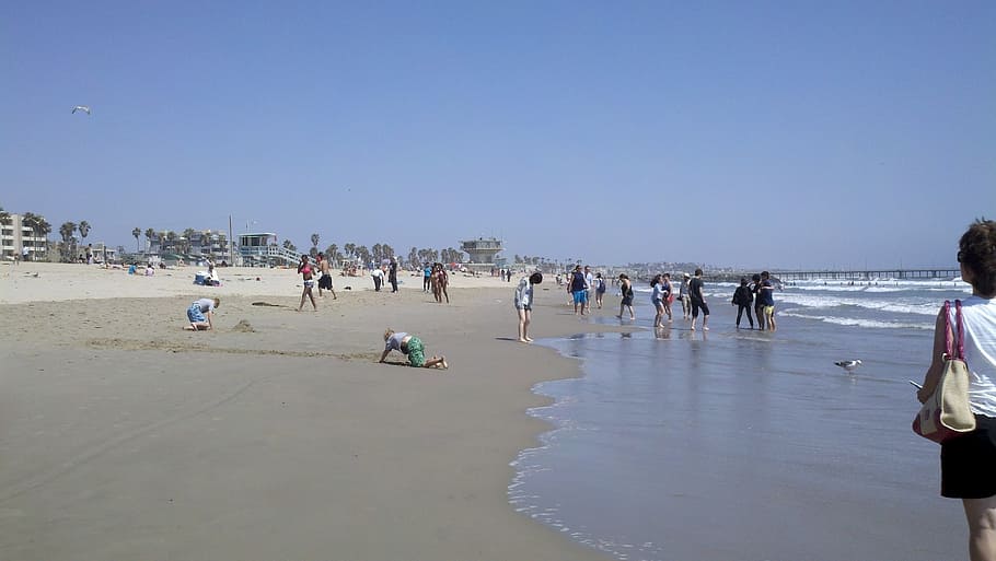 beach, california, pacific, ocean, shore, water, los angeles, group of people, crowd, large group of people