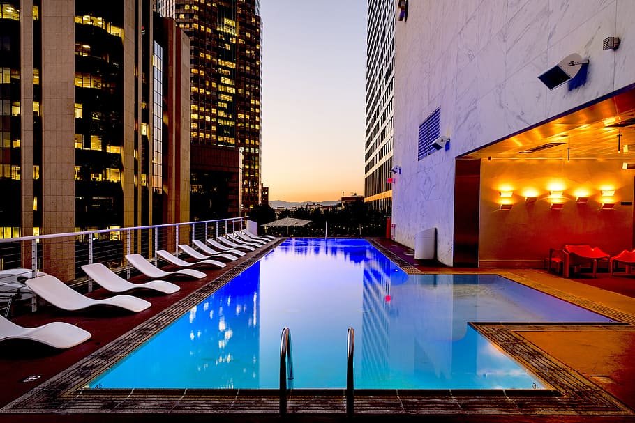 swimming, pool, surrounded, white, outdoor, lounges, los angeles, california, usa, america