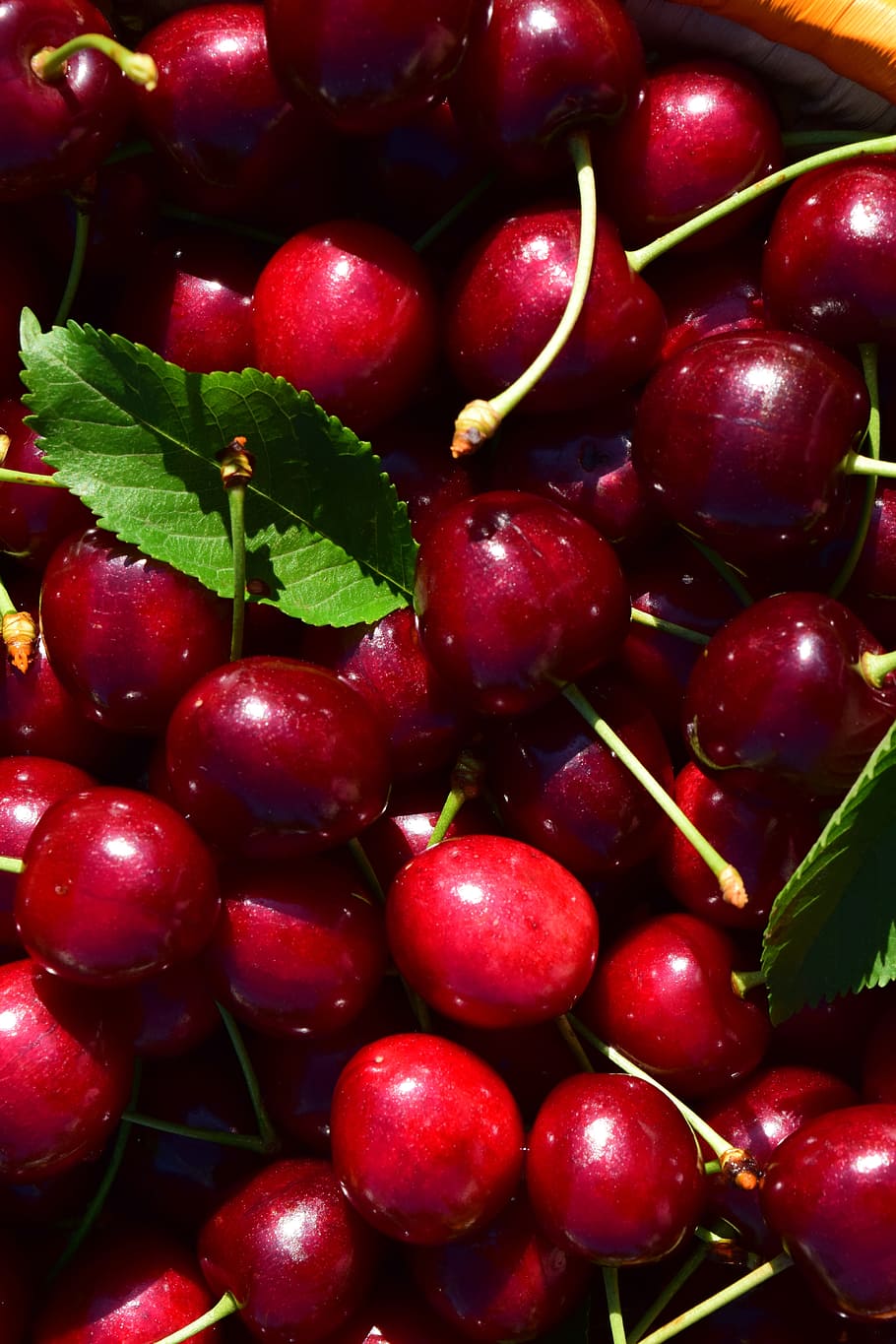 red, cherry, lot close-up photography, cherries, close, nature, fruit, delicious, food, macro