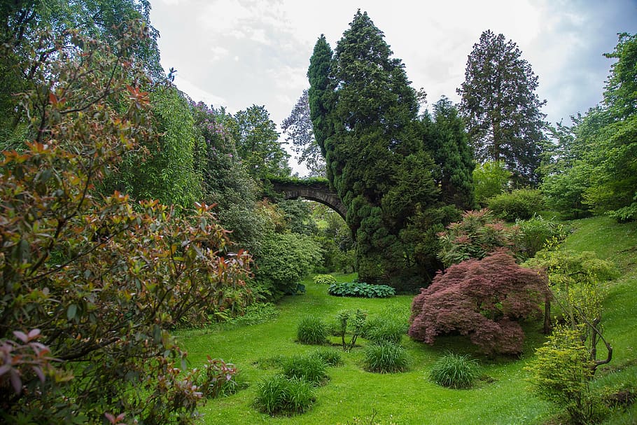 park, nature, bridge, landscape, lago maggiore, villa taranto, verbania, plant, tree, growth