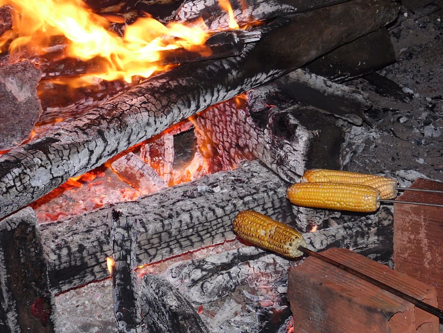 fuego, la estaca, maíz, asado, quema, calor - temperatura, fuego - fenómeno natural, llama, nadie, madera - material