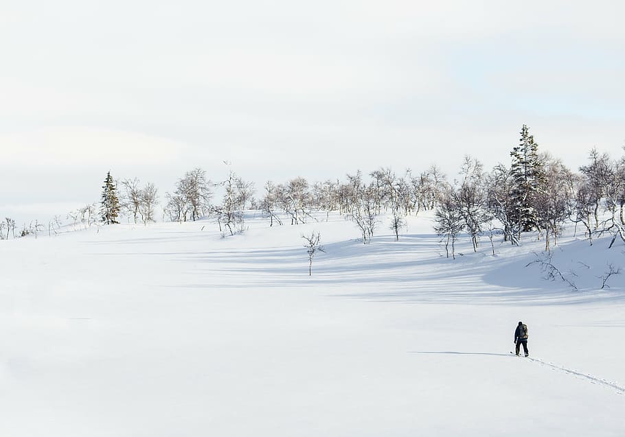person, walking, trees, daytime, wearing, snow, coat, middle, field, facing