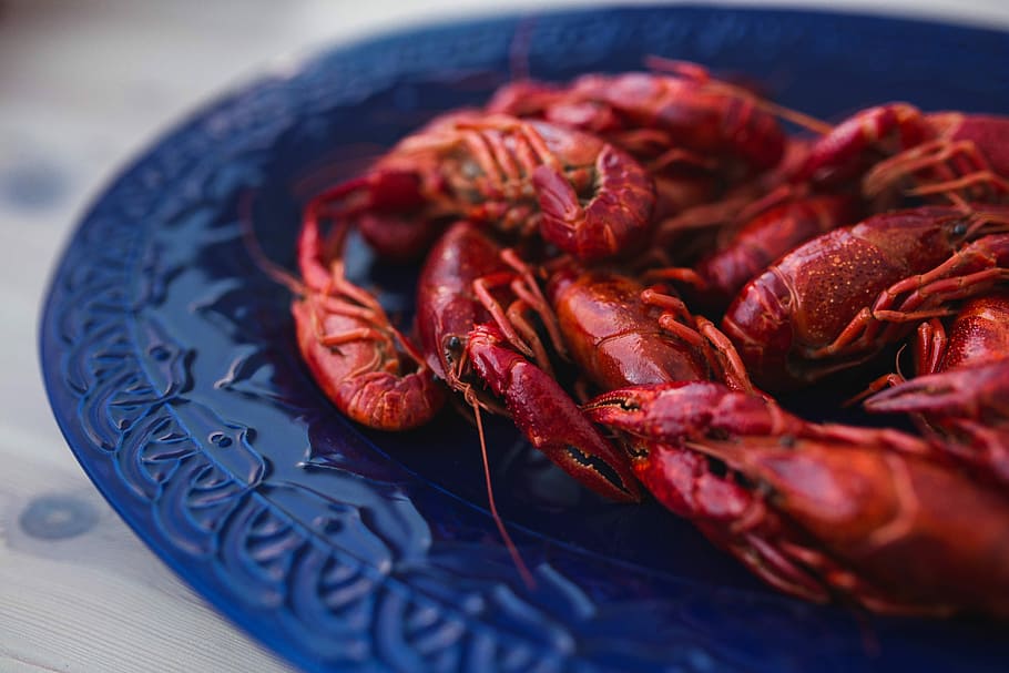 blue, plate, Crayfish, blue plate, food, tasty, delicious, seafood, crustacean, gourmet