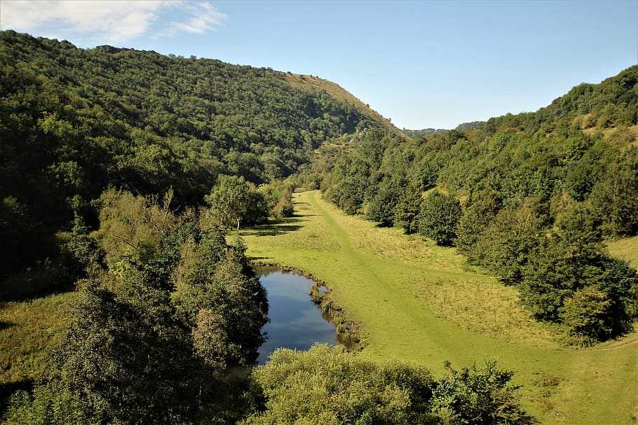 paisaje, árboles, hierba, verde, lago, agua, Peak District, Derbyshire, Monsal Head, sendero