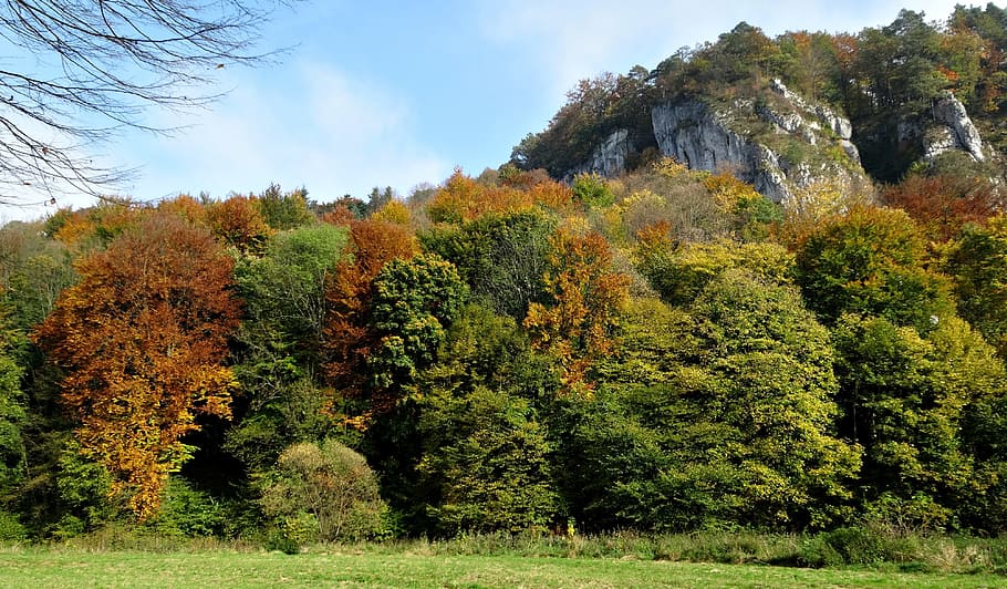 Polonia, rocas, árboles, otoño, paisaje, naturaleza, los padres fundadores, parque nacional de la paternidad, planta, árbol
