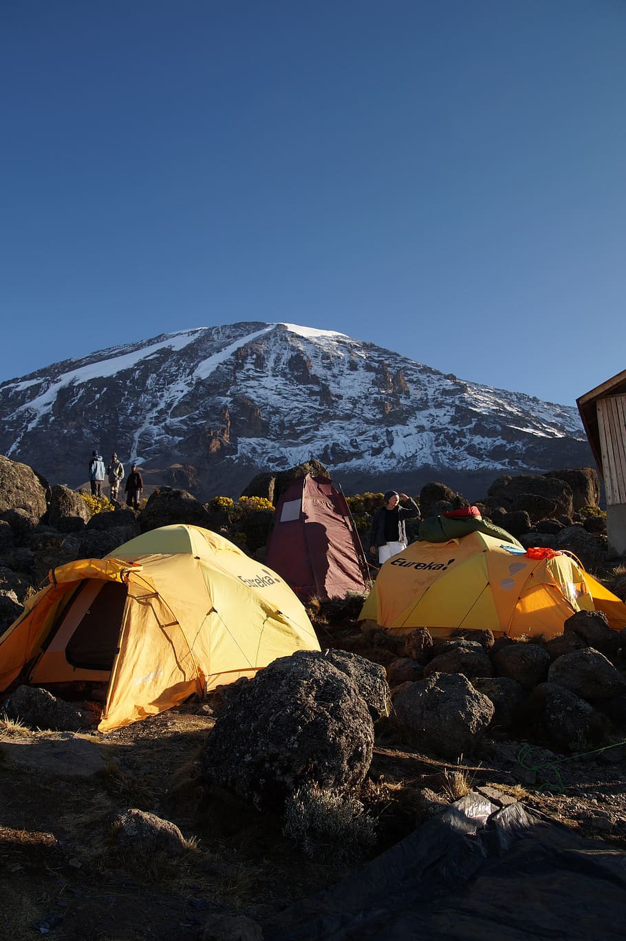 kilimanjaro, mountain, mountains, tent, air, nature, africa, yellow, tanzania, mountaineering
