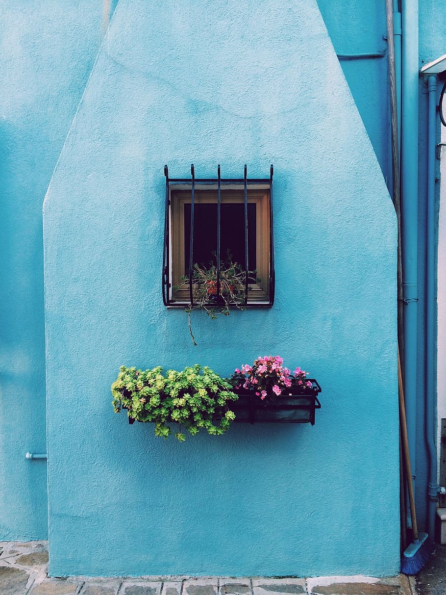 flowers beneath window, flowers, basket, pots, window, bars, blue, wall, house, architecture