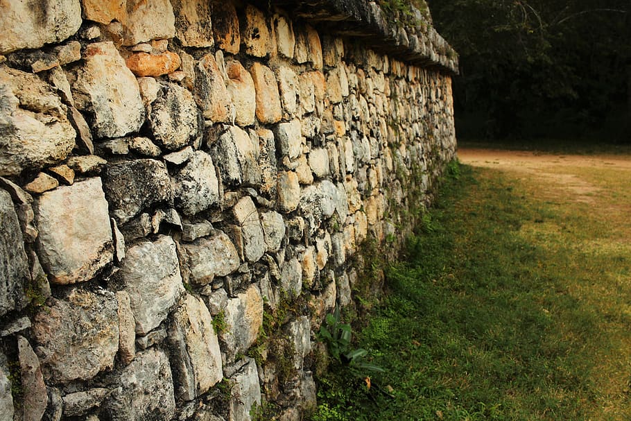 mayan, wall, pyramid, forest, archaeological, temple, culture, ruin, plant, stone wall