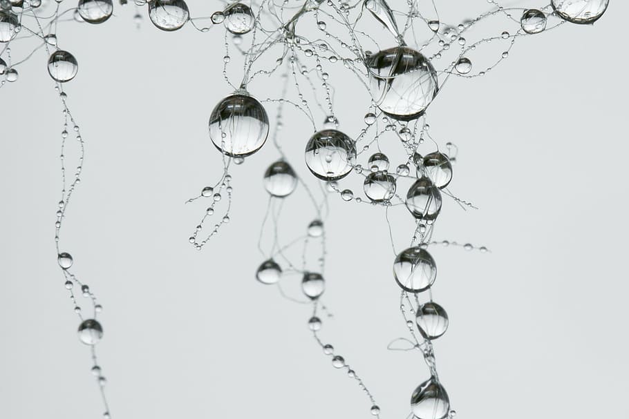 water bubbles, drop, network, synapse, pearl, gray, raindrop, villa, water, close-up