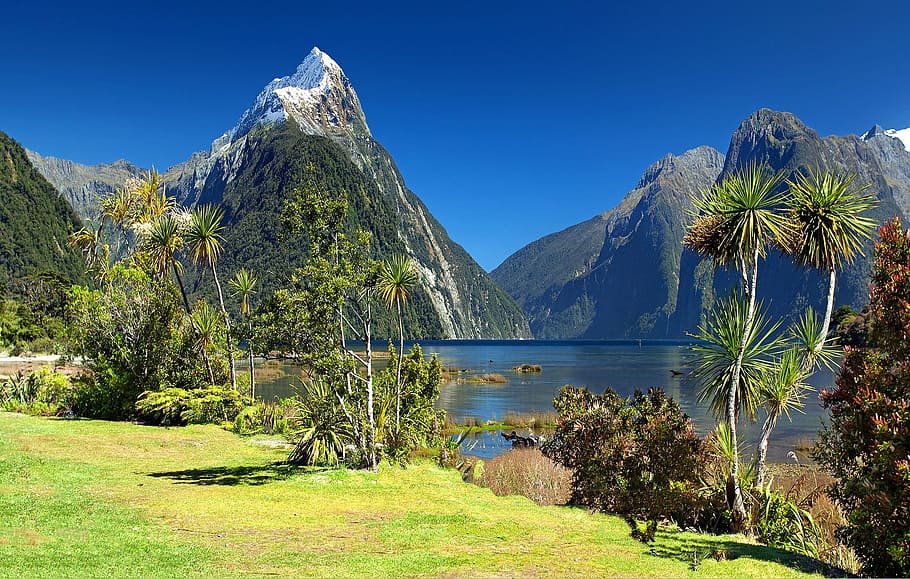 montanhas, lago, dia, nova zelândia, milford sound, pico da mitra, fiorde, ilha sul, parque nacional de fiordland, fiordland