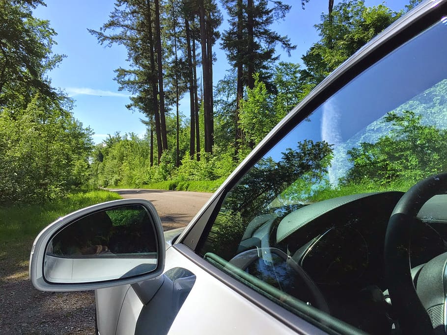audi, sports car, auto, pkw, r8, v10, road, landscape, rear mirror, tree