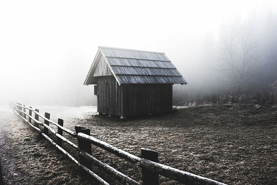 Fotografía en escala de grises, cabina, valla, madera, al aire libre, casa, cabaña, blanco y negro, paisaje, niebla
