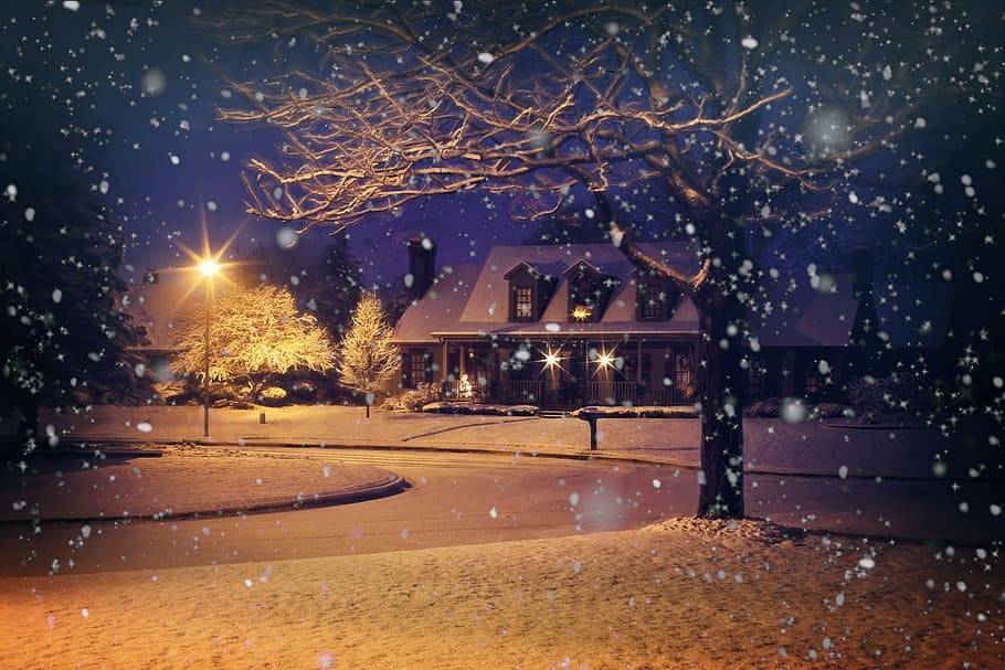 coklat, telanjang, pohon, lukisan rumah, salju tengah malam, salju malam, salju, musim dingin, rumah, malam