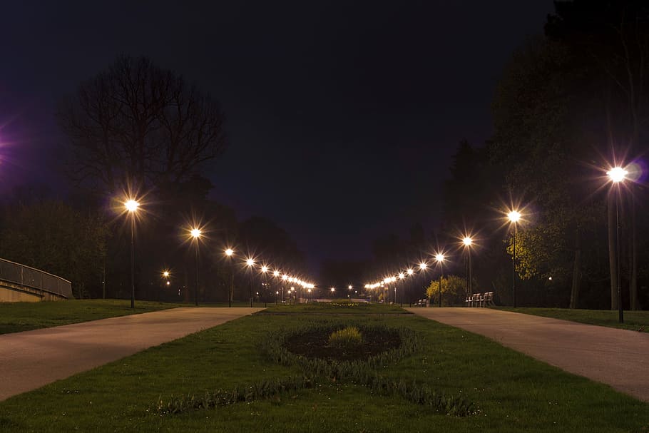 Night, Dark, Olomouc, Nature, Path, park, trees, lights, czech republic, green
