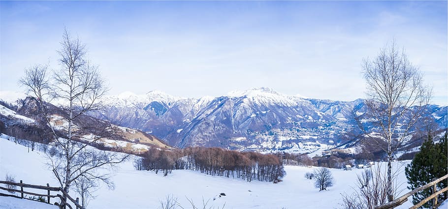 vista de rabia de montaña, nieve, cubierto, árboles, montaña, durante el día, paisaje, montañas, naturaleza, invierno