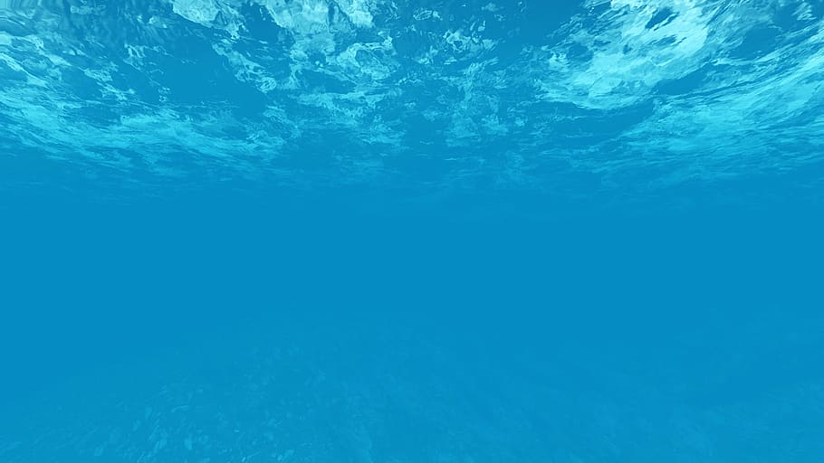 foto bawah air, air laut, air biru, bawah air, watermark, biru, gambaran besar, jernih, alam, laut