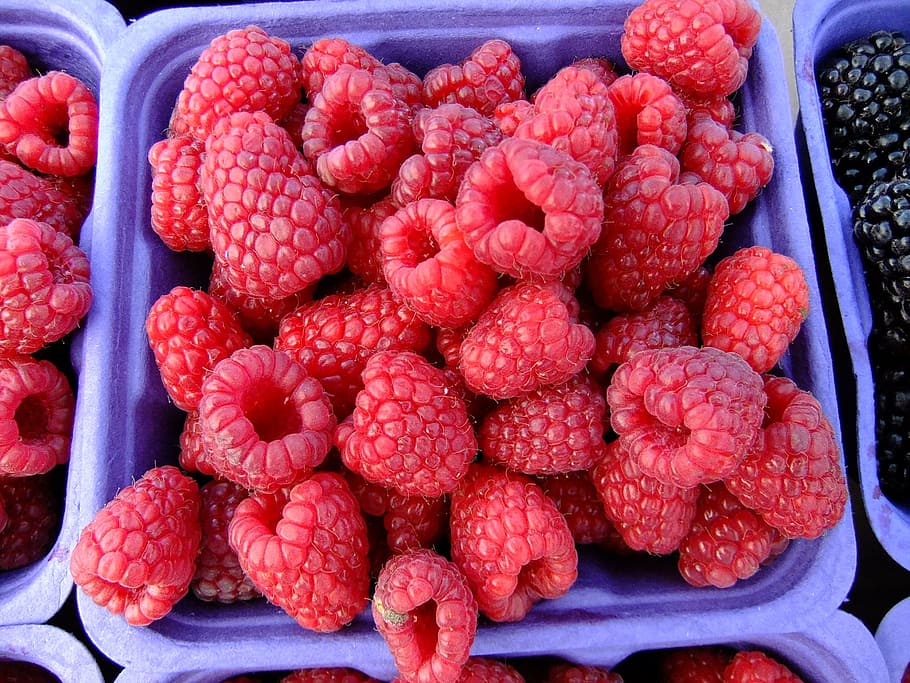 Raspberries, Market, Fruit, Fresh, Sweet, berry, organic, delicious, summer, healthy