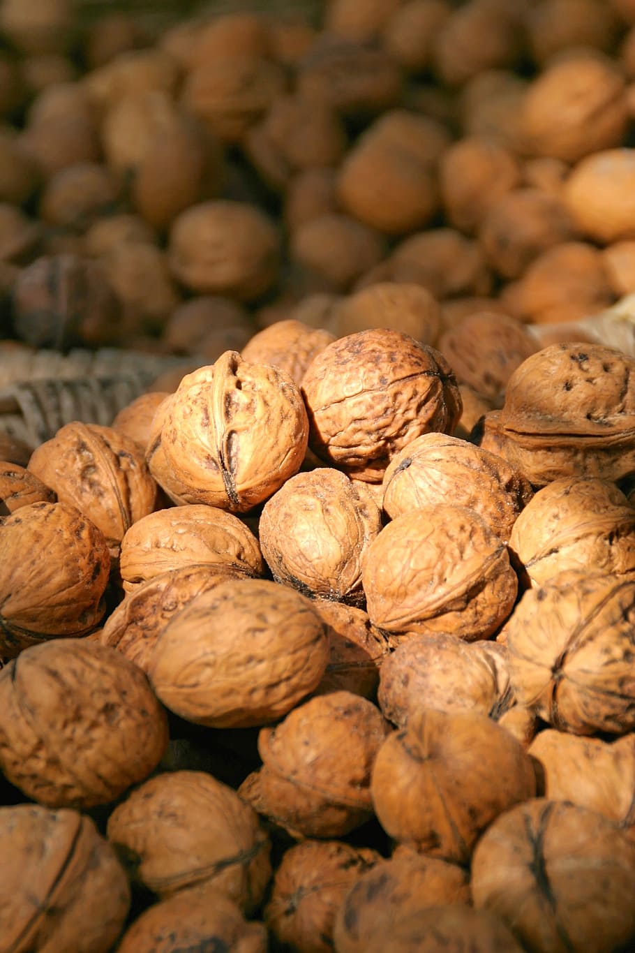 nuts, walnuts, market, buy, trade, food, walnut, nutshell, nut - Food, brown