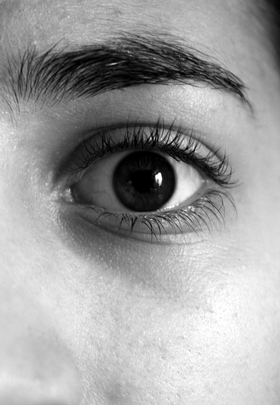Persona que muestra ojos, ojos, cejas, pestañas, cara, ojo humano, ojo, parte del cuerpo humano, parte del cuerpo, vista