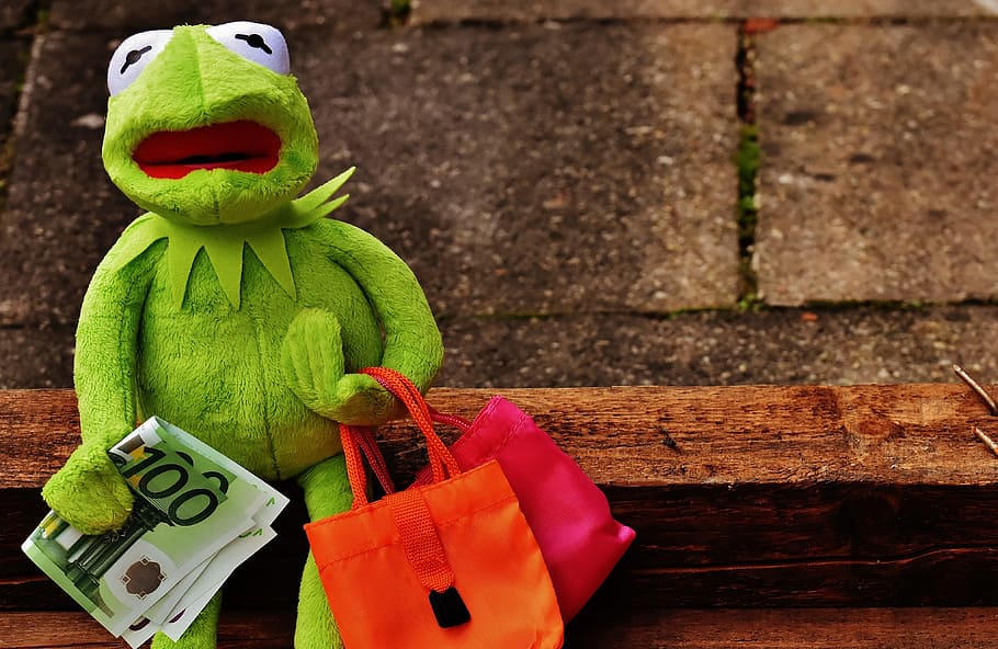 hermit, frog, plush, toy, holding, banknote, shopping, kermit, money, euro