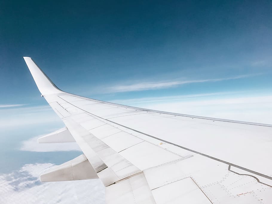 passageiro, vista, branco, asa de avião, avião, companhia aérea, viagens, viagem, azul, céu