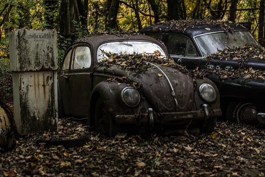 Back, Royalty Free, two, cars, parked, trees, motor vehicle, abandoned, car, mode of transportation