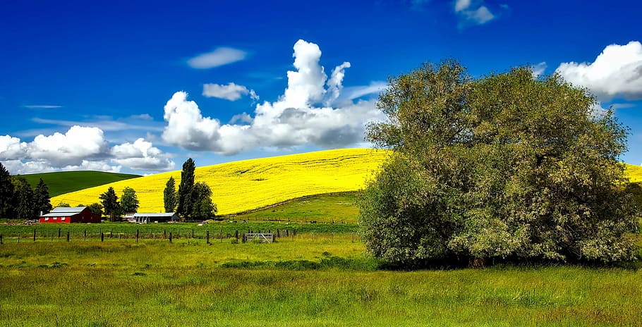 Beautiful, Landscape, Clouds, Idaho, fields, photos, landscapes, outdoors, public domain, sky