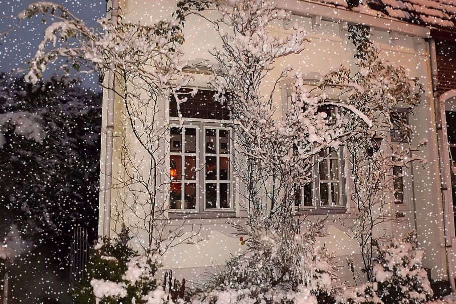 trees, windows, snow, winter, christmas, cosy, christmas tree, christmas card, house, window