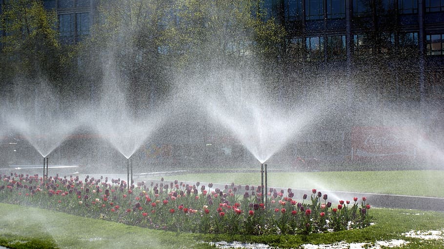 turned, water fountains, Flowers, Plant, Irrigation, Spring, nature, water, spraying, outdoors