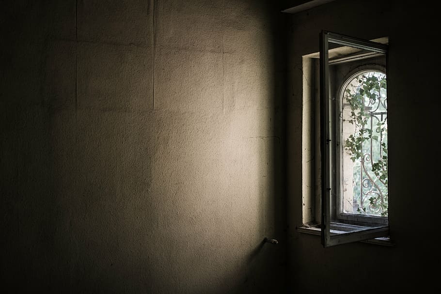 ventana durante el día, ventana, viejo, abandonado, hiedra, cubierto, sombra, marco, pared, lugares perdidos
