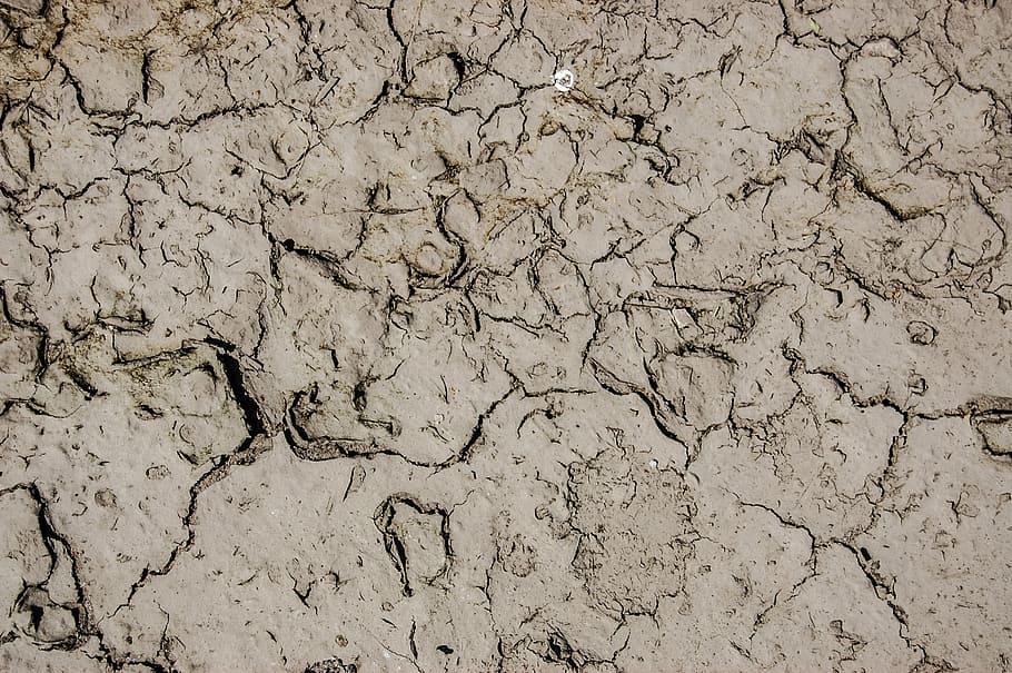 earth, texture, the background, dry, cracked, drought, mud, dirt, land, nature
