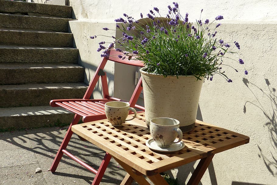 stairs, red, chair, cup, lavender, idyll, still life, rest, friedrichstadt, sun