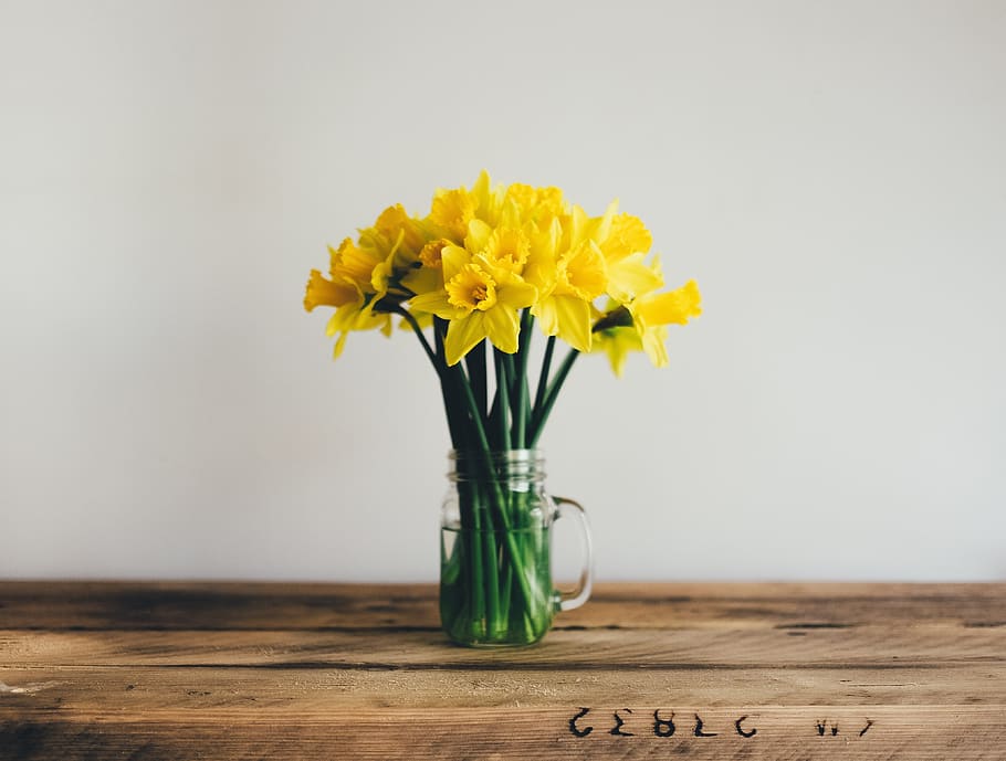 yellow, daffodils, clear, glass jar, flower, stem, water, glass, wooden, table