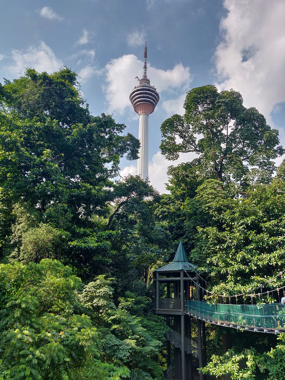 parque, bosque ecológico, torre, kl, kuala, lumpur, malasia, rascacielos, estructura construida, árbol