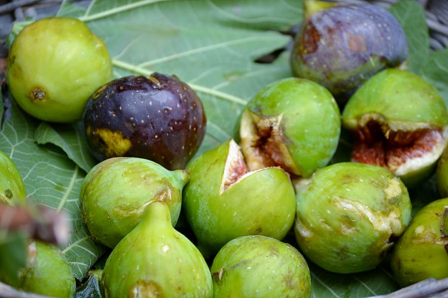 figs, purple, green, sweet, food, organic, fruit, nutrition, summer, mediterranean