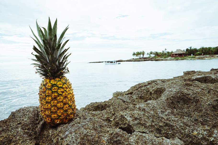 pineapple fruit, front, body, water, boat, fruit, golden, mexico, ocean, palm trees