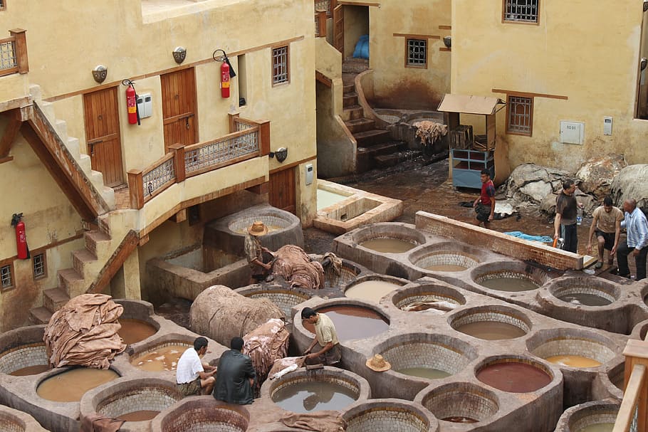 Tannery, Morocco, Skins, architecture, built structure, building exterior, industry, indoors, day, men