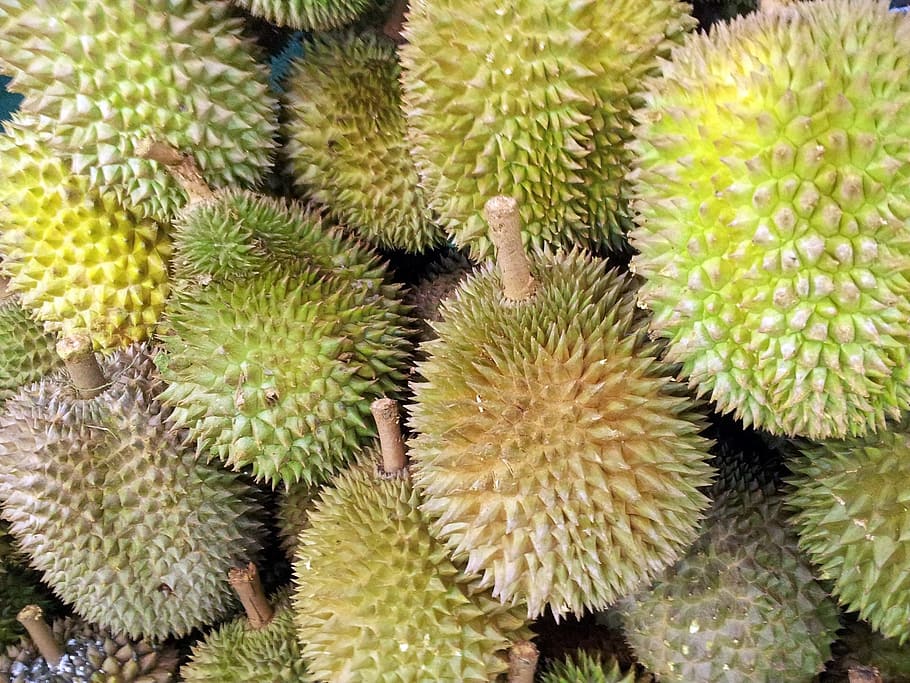 jackfruits verdes, singapur, durian, fruta, jugoso, alimentos, maduro, saludable, fresco, dieta
