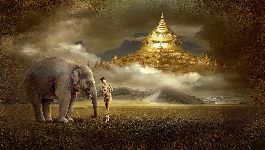 woman, standing, elephant, fantasy, temple, mood, mystical, ray of hope, golden, bright