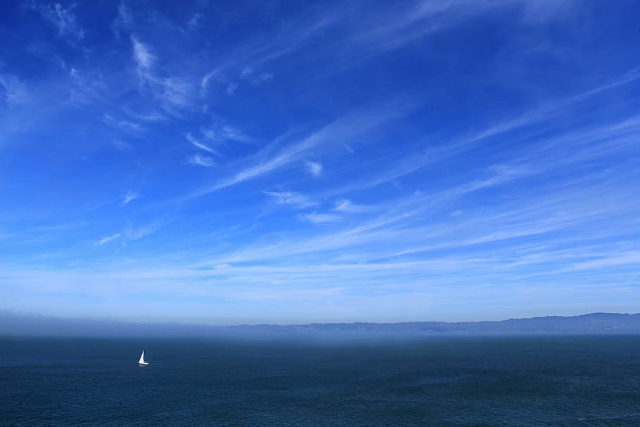 landscape photography, horizon, white, bird, flying, blue, sky, daytime, clouds, sailboat
