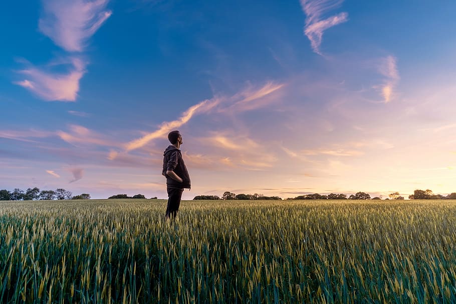 homem, em pé, campo de grama, olhando, céu, verde, campo, culturas, agricultura, fazenda