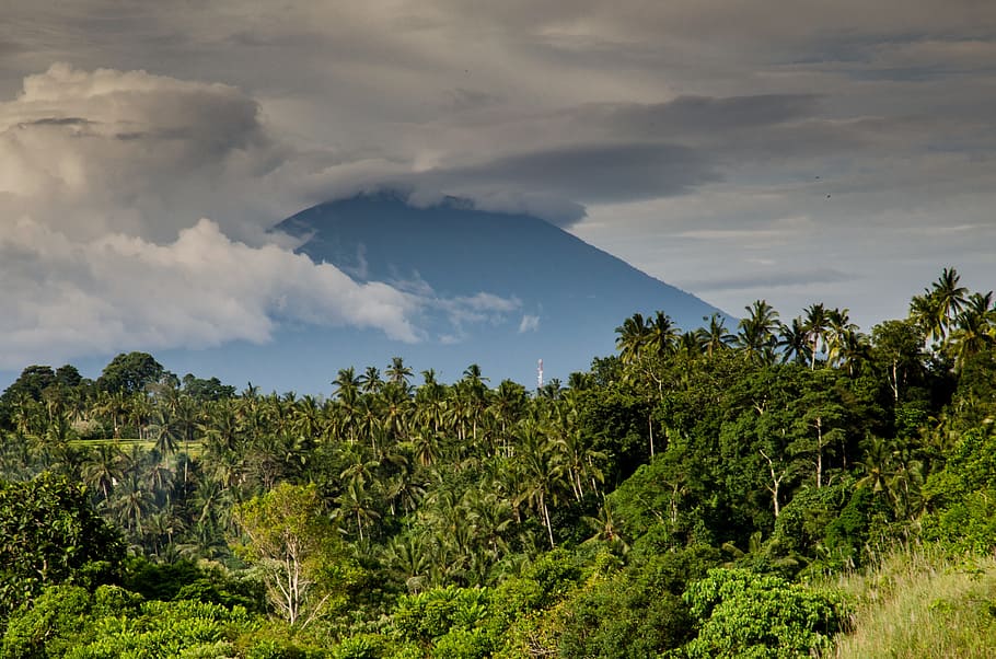 green leafed trees, volcano, costa rica, palm trees, jungle, tropical, landscape, mountain, smoke, trees