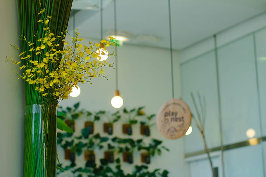 luz, lâmpada, interior, design, flor, planta, parede, adesivo, decoração, iluminado