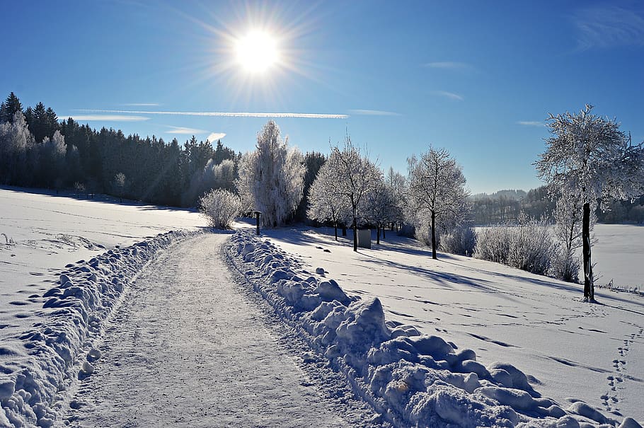 matahari, musim dingin, salju, alam, pemandangan, langit, suasana hati, sinar matahari, Panorama, pohon