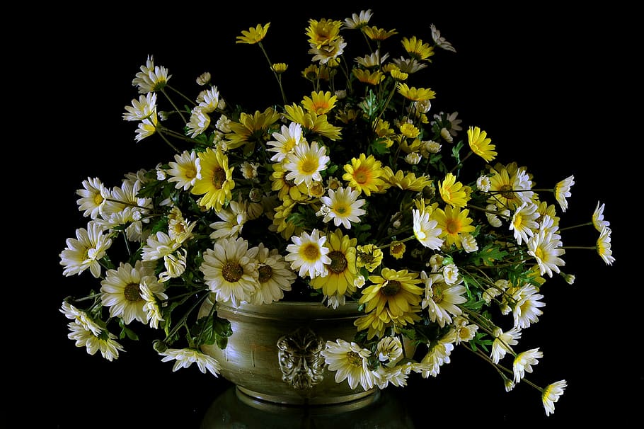 assorted-color flowers centerpiece, flowers, daisies, petals, margaret, nature, summer, spring, field, flower