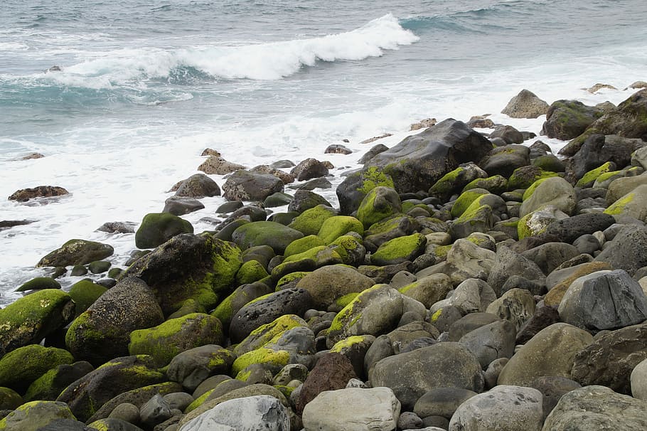 Stones, Bank, Shore, Rock, shore stones, rocky, surf, bemoost, moss, seaweed